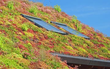 Urchfont living roof systems